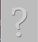 Section 9 Sniper voice